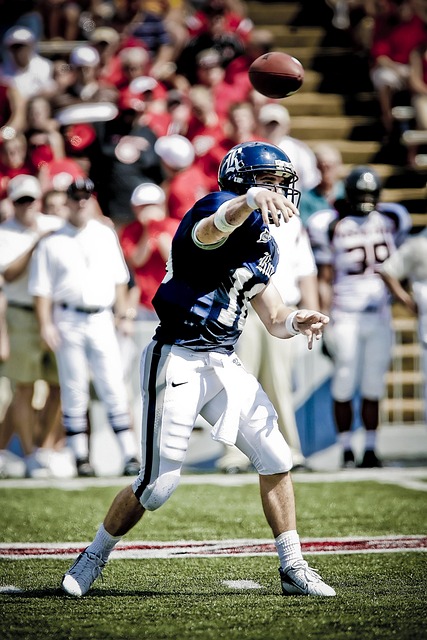 布置不是孤 布置不是孤