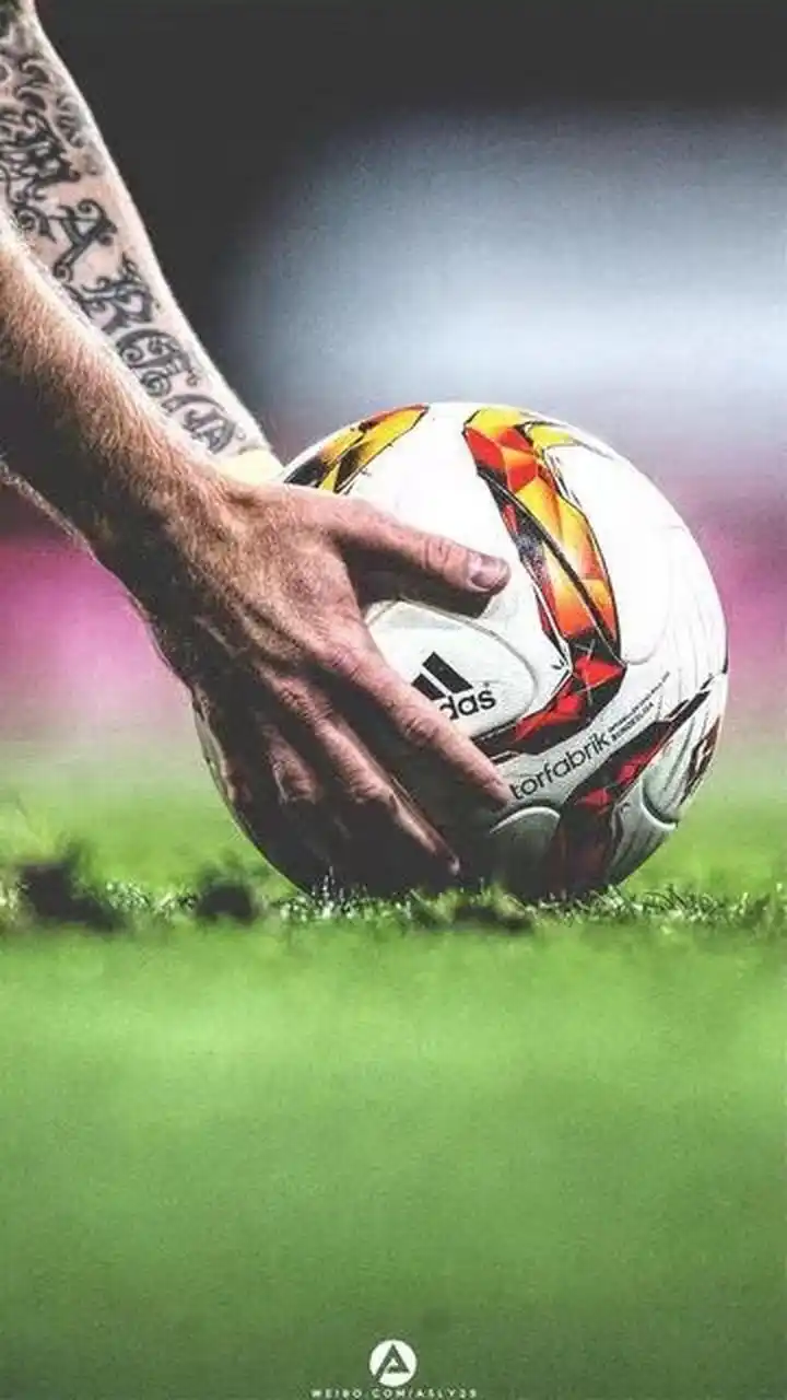 刷新了赛会 刷新了赛会