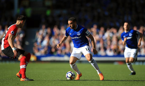 亿美元的大 亿美元的大